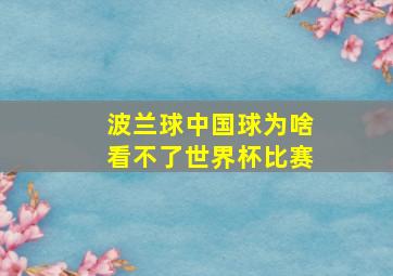 波兰球中国球为啥看不了世界杯比赛