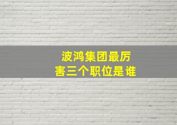 波鸿集团最厉害三个职位是谁