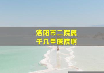 洛阳市二院属于几甲医院啊