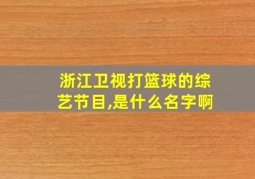 浙江卫视打篮球的综艺节目,是什么名字啊