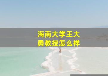 海南大学王大勇教授怎么样