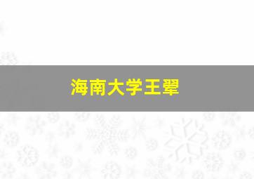 海南大学王翚