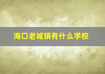 海口老城镇有什么学校