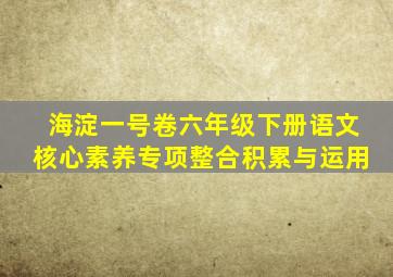 海淀一号卷六年级下册语文核心素养专项整合积累与运用