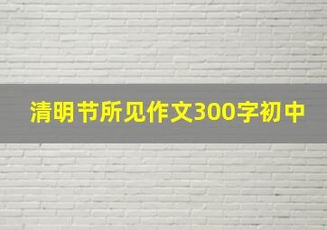 清明节所见作文300字初中