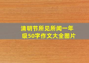 清明节所见所闻一年级50字作文大全图片