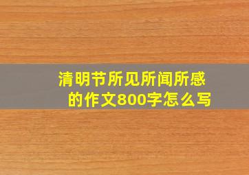 清明节所见所闻所感的作文800字怎么写