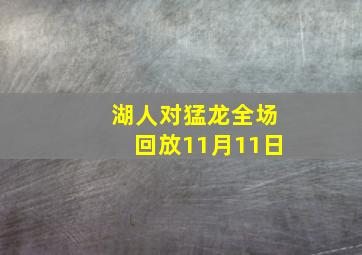 湖人对猛龙全场回放11月11日