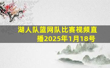 湖人队篮网队比赛视频直播2025年1月18号