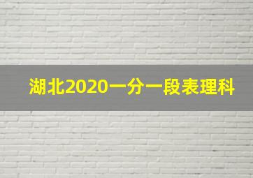 湖北2020一分一段表理科