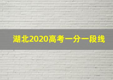 湖北2020高考一分一段线