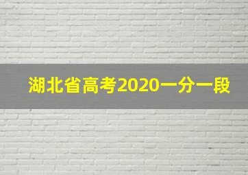 湖北省高考2020一分一段