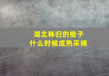 湖北秭归的橙子什么时候成熟采摘