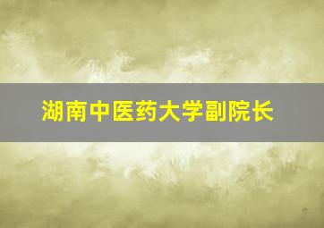 湖南中医药大学副院长