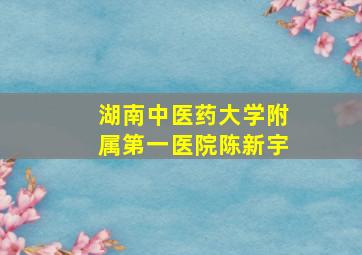 湖南中医药大学附属第一医院陈新宇