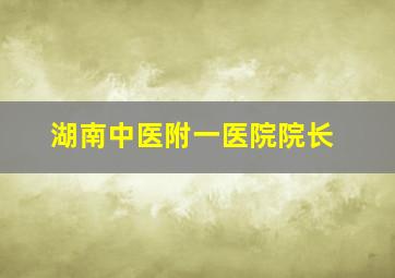 湖南中医附一医院院长