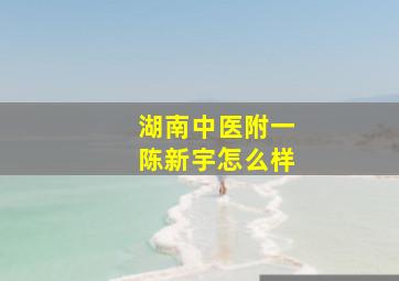 湖南中医附一陈新宇怎么样