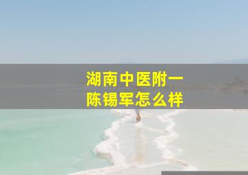 湖南中医附一陈锡军怎么样