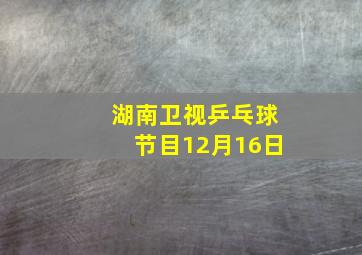 湖南卫视乒乓球节目12月16日