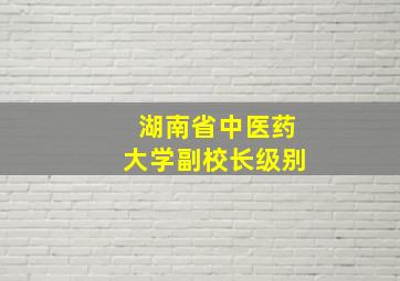 湖南省中医药大学副校长级别