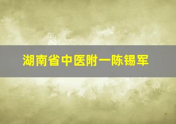 湖南省中医附一陈锡军