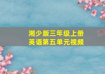 湘少版三年级上册英语第五单元视频