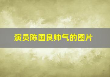 演员陈国良帅气的图片