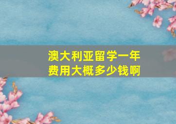 澳大利亚留学一年费用大概多少钱啊