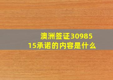 澳洲签证3098515承诺的内容是什么