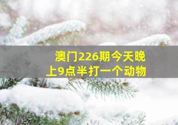 澳门226期今天晚上9点半打一个动物