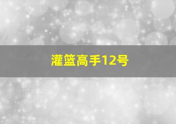 灌篮高手12号