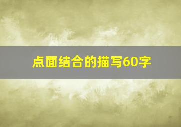 点面结合的描写60字