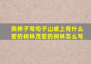 照样子写句子山坡上有什么密的树林茂密的树林怎么写