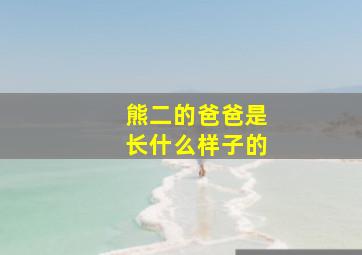 熊二的爸爸是长什么样子的