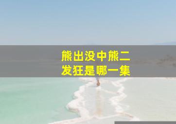 熊出没中熊二发狂是哪一集