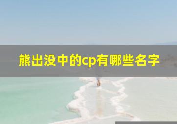 熊出没中的cp有哪些名字