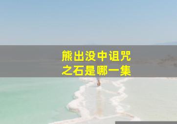 熊出没中诅咒之石是哪一集