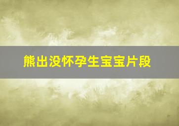 熊出没怀孕生宝宝片段