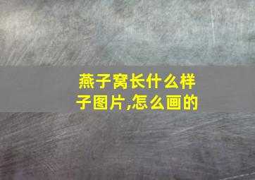 燕子窝长什么样子图片,怎么画的