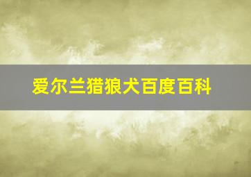 爱尔兰猎狼犬百度百科