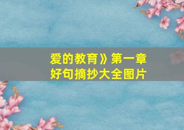 爱的教育》第一章好句摘抄大全图片