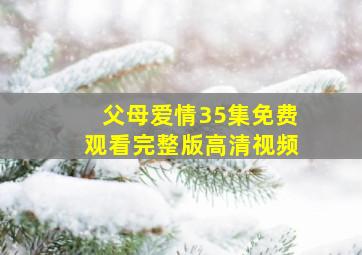 父母爱情35集免费观看完整版高清视频