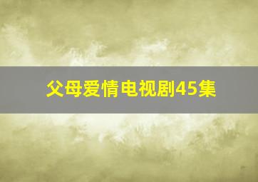 父母爱情电视剧45集