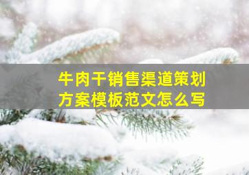 牛肉干销售渠道策划方案模板范文怎么写