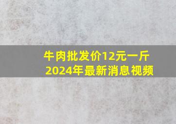 牛肉批发价12元一斤2024年最新消息视频