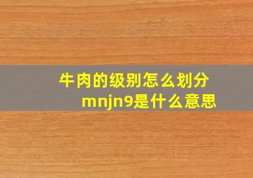 牛肉的级别怎么划分mnjn9是什么意思