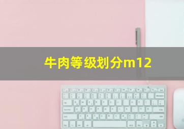 牛肉等级划分m12