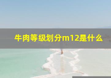 牛肉等级划分m12是什么