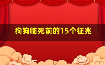 狗狗临死前的15个征兆