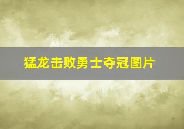 猛龙击败勇士夺冠图片